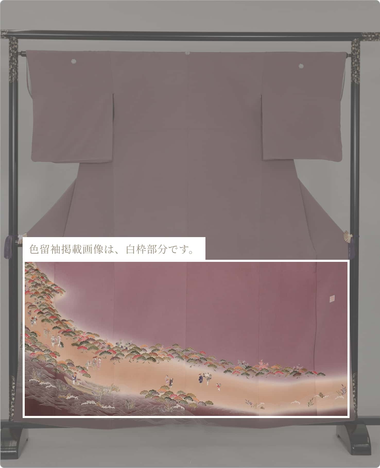 留袖着用イメージ