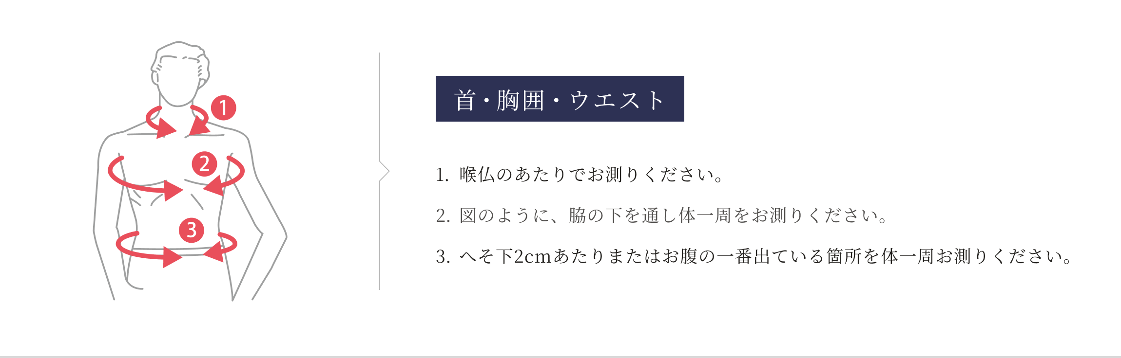 首・胸囲・ウエスト
